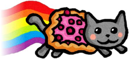 fly_cat emote for Discord