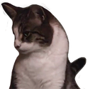 george emote for Discord