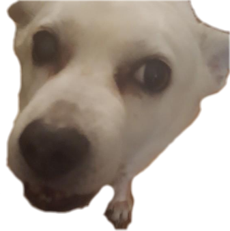 Menacing_dog emote for Discord