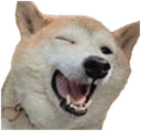 Doggo_wink emote for Discord