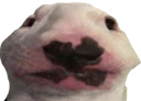 epic emote for Discord
