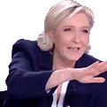 ils_sont_la emote for Discord