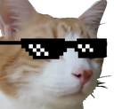 CatCuteSwag emote for Discord