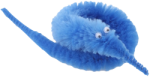 bworm emote for Discord