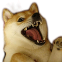 dogyas emote for Discord