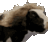 fabioCow emote for Discord