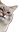 kot emote for Discord
