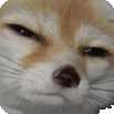 StareGif emote for Discord