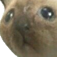 ProizoshelTrolling emote for Discord