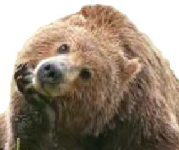 bear_2 emote for Discord