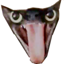 esmerilemeragatito emote for Discord