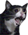 yamero emote for Discord