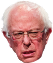 bernie_sanders_upset emote for Discord