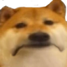 doge_sad emote for Discord