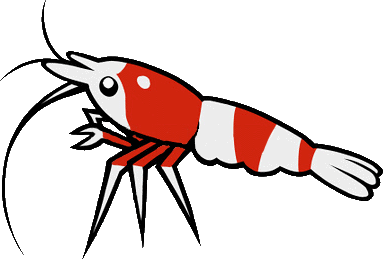 shrimpy emote for Discord