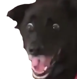 DogScared emote for Discord