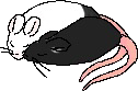 Snuggle_Buddies emote for Discord