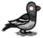 Dont_Starve_Pigeon emote for Discord