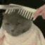wave emote for Discord