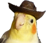 Caraipsita emote for Discord