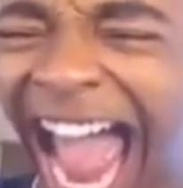 DolphinLaugh emote for Discord