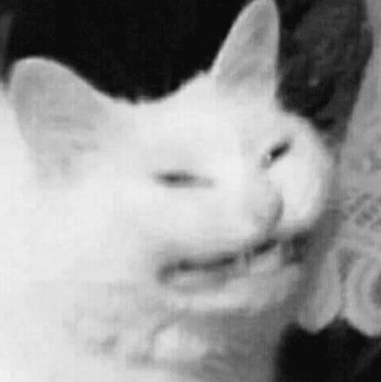 CryingNiall emote for Discord