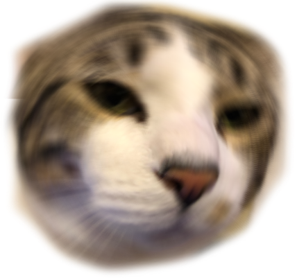 trevorsayswut emote for Discord