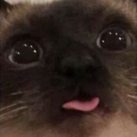 blep emote for Discord