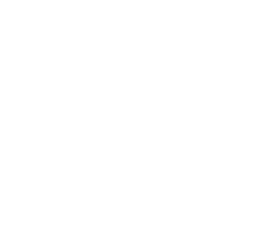 100_white emote for Discord