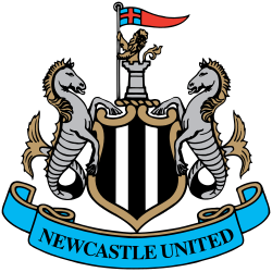 newcastle emote for Discord