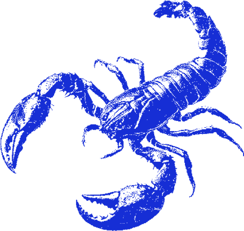 Scorpion emote for Discord