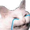 CattoCry emote for Discord