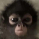 0 emote for Discord