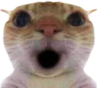 0 emote for Discord