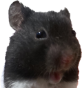 0 emote for Discord