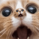 0 emote for Discord