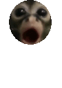 0Bounce emote for Discord
