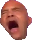 BitconnectGuy_BITCONNEEEECT emote for Discord