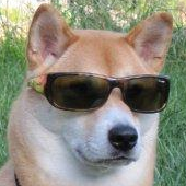 cooldoggo emote for Discord