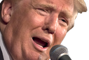 TrumpSpeech emote for Discord