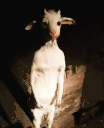 18thJuly2026at821PM emote for Discord