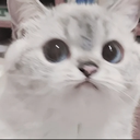 0_0 emote for Discord