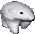 Polarbear emote for Discord