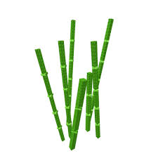 Bamboo emote for Discord
