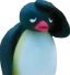 pingu_pain emote for Discord