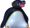 pingu_cool emote for Discord