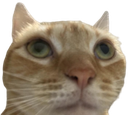 wsp emote for Discord