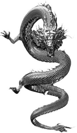 dragon emote for Discord