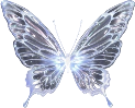 butterfly emote for Discord