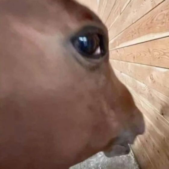 Sus emote for Discord